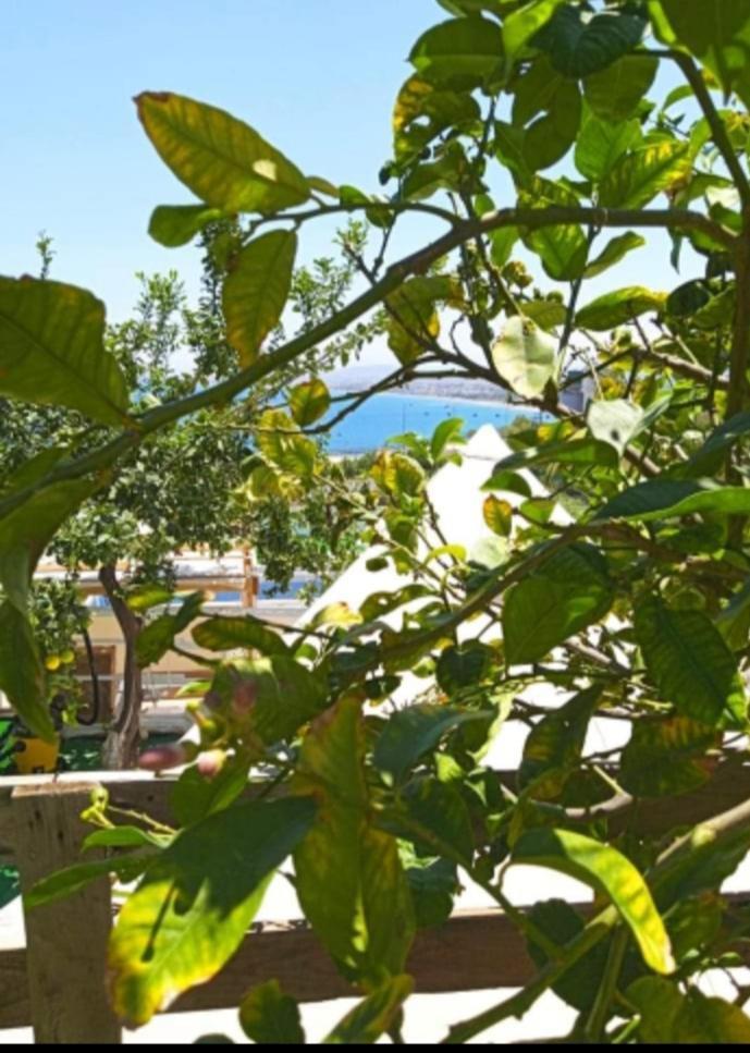 Queens Luxury Glamping Palaiokastro  Ngoại thất bức ảnh