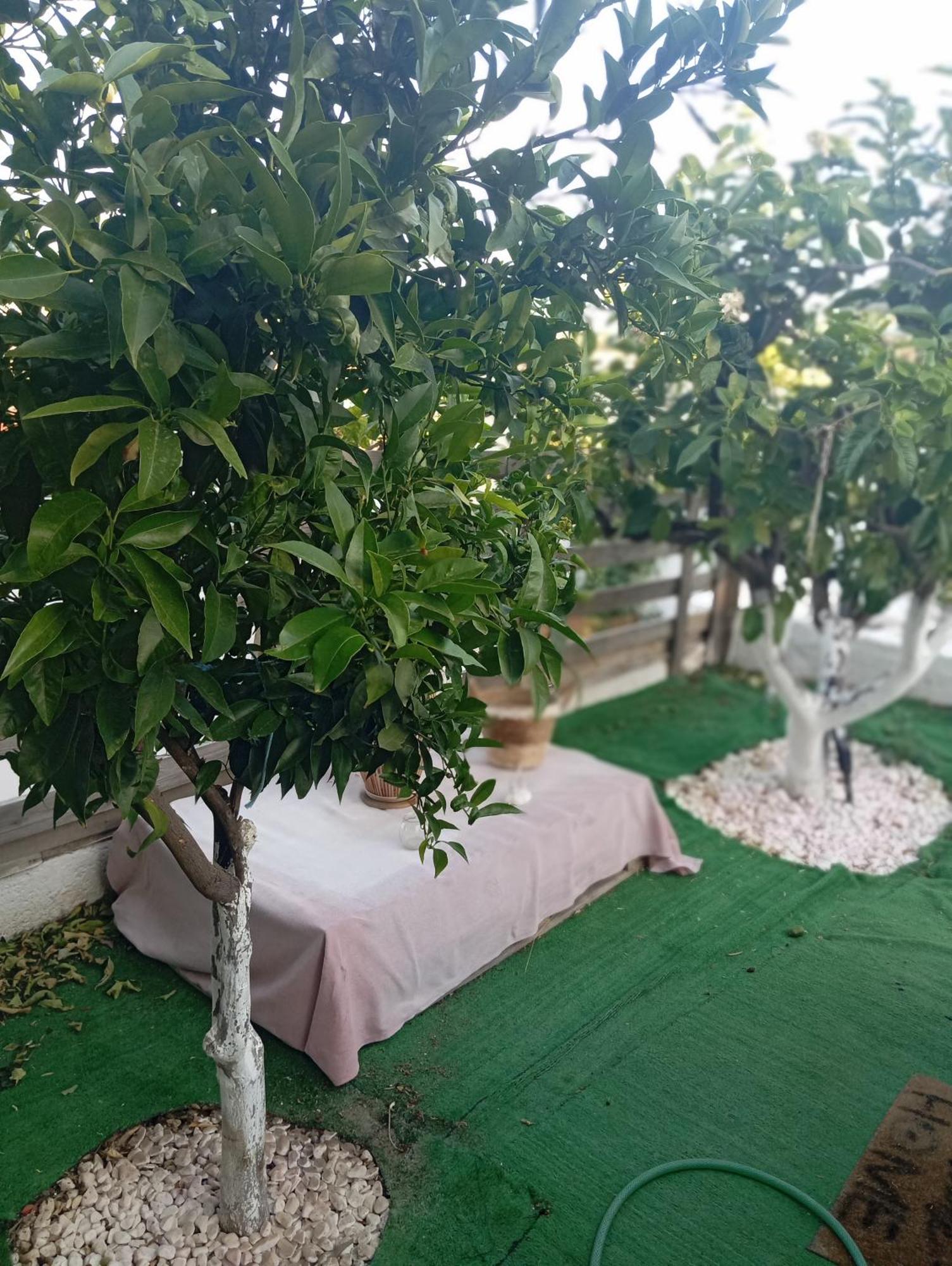 Queens Luxury Glamping Palaiokastro  Ngoại thất bức ảnh